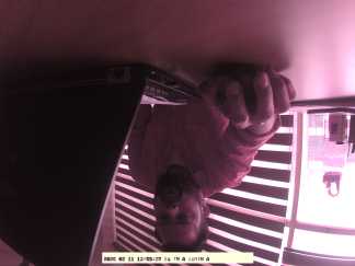 Forest monitoring image