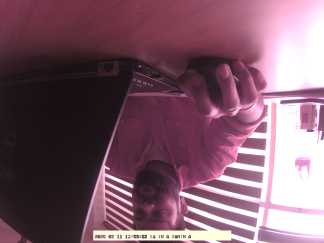 Forest monitoring image