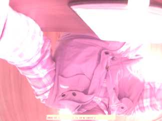 Forest monitoring image