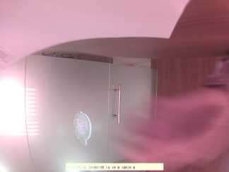 Forest monitoring image