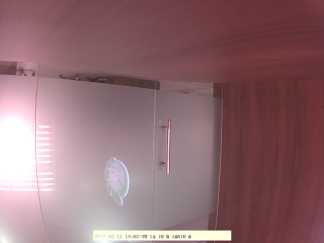 Forest monitoring image