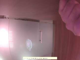 Forest monitoring image