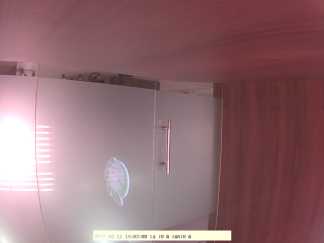 Forest monitoring image