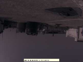 Forest monitoring image