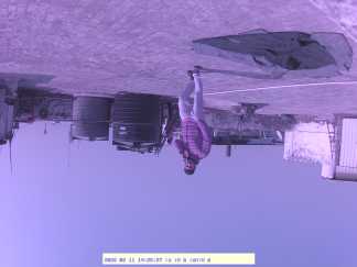 Forest monitoring image